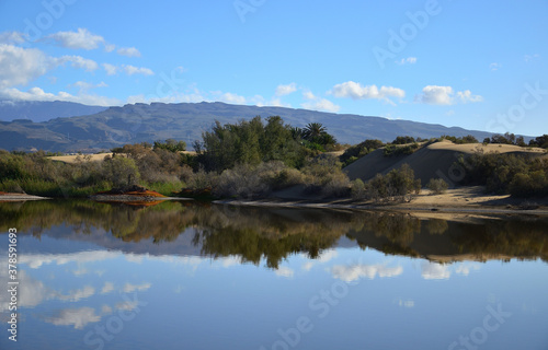 Dune landscape with vegetation and blue sky reflected in the lagoon, Maspalomas, Canary Islands