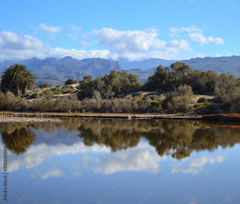 Dunes with vegetation reflected in the water, mountains and blue sky, Maspalomas, Gran Canaria