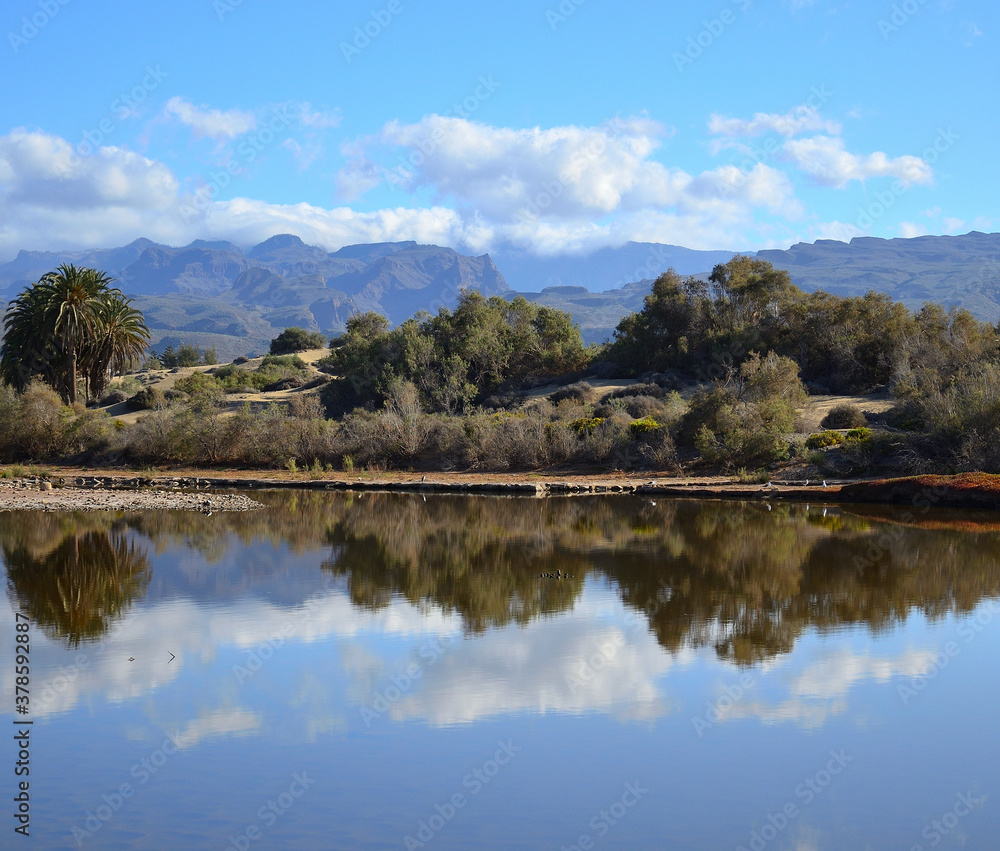Obraz premium Dunes with vegetation reflected in the water, mountains and blue sky, Maspalomas, Gran Canaria