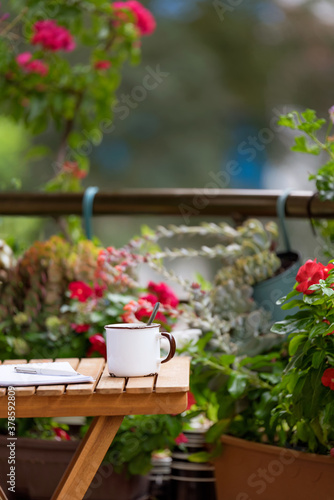 City balcony with beautiful succulents. Morning coffee on the terrace  home office.