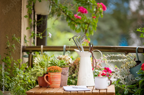 City balcony with vintage accessories beautiful succulents. Morning coffee on the terrace, home office.