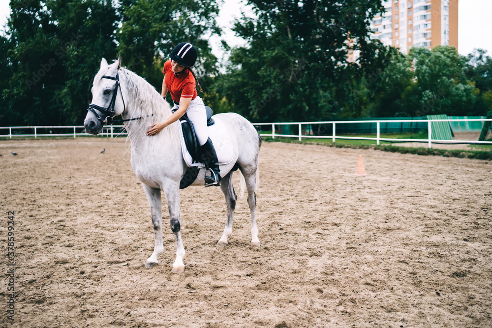 Young jockey woman in black helmet hugging champion horse during summer walk for practicing riding skills during equestrian training outdoors, concept about love between people and animals Young jockey woman in black helmet hugging champion horse during summer walk for practicing riding skills during equestrian training outdoors, concept about love between people and animals
