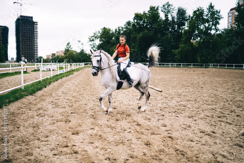 Professional female equestrian riding horse during dressage in paddock