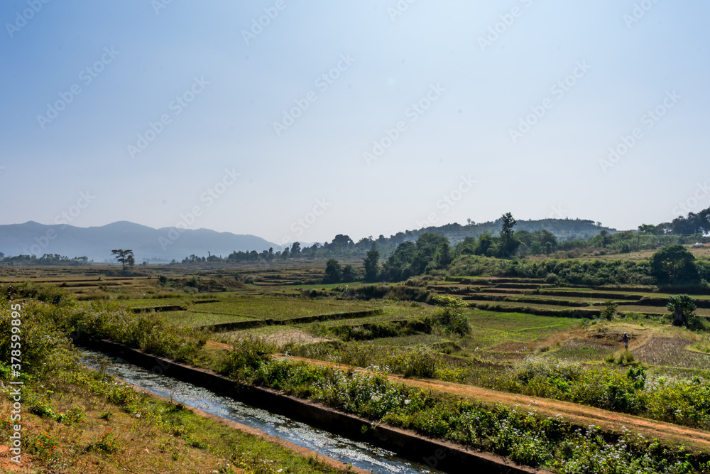 Awesome looking of tourist place morning with  stepped farmland greenery  background.
