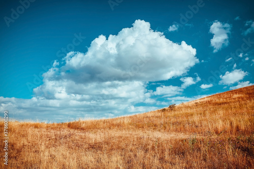 Dry grass on meadow. Blue sky with fluffy white clouds. Autumn season and virgin nature landscape concept. Copy space