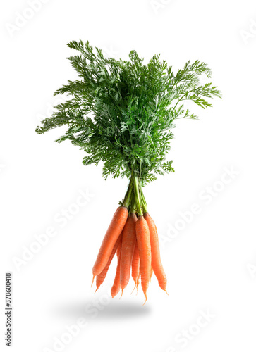 Bunch of fresh carrots, levitating isolated from the white background
