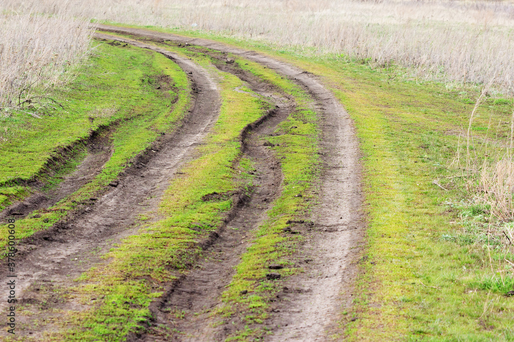 Inactive dirt road in the countryside. Inactive dirt road in the countryside.