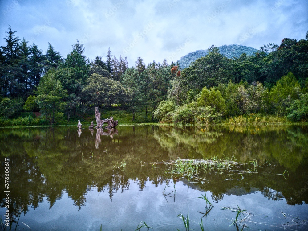 Obraz premium lake in the park
