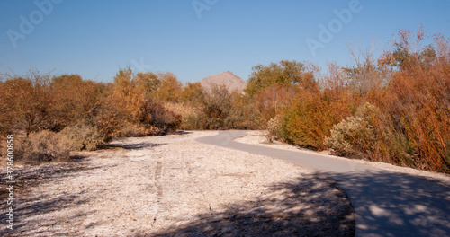 Clark County Wetlands and Duck CreekTrail