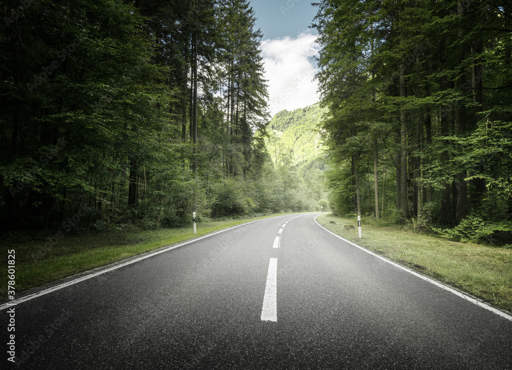 Fototapeta premium road in mountain forest, Switzerland