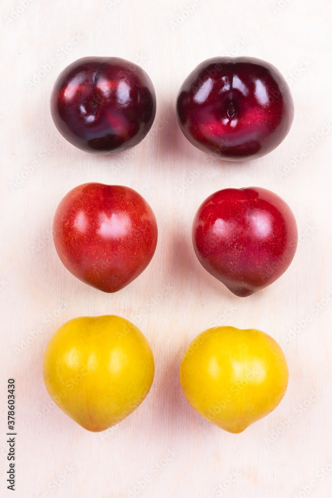 Red, yellow plum fruit top view on the white background isolated Red, yellow plum fruit top view on the white background isolated