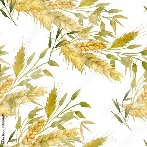 Watercolor wheat ears seamless pattern.Image of ears of wheat on a white and colored background.