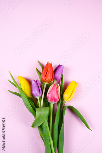 Colorful beautiful bouquet of tulips for easter © JOE LORENZ DESIGN