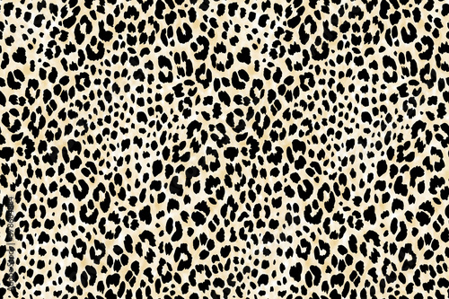 leopardo pattern sombra photo