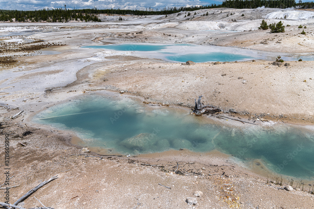 Norris Geyser Basin, Yellowstone National Park Norris Geyser Basin, Yellowstone National Park