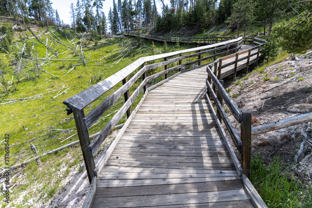 Fototapeta premium Mud Volcano Area, Yellowstone National Park