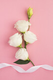 Beautiful white flowers and white ribbon on the pink  background. Location vertical.