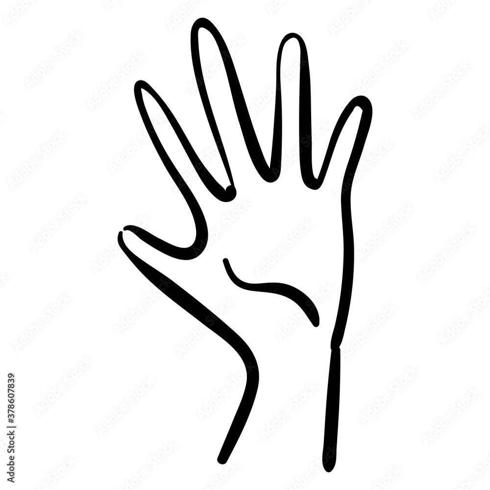 Black contour line illustration of thin palm Black contour line illustration of thin palm