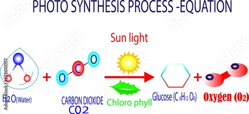 photosynthesis equation -co2 -02 -chlorophyll - sunlight - water -plants  
