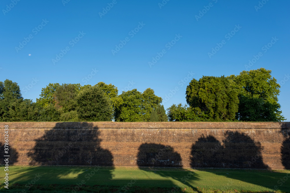 Scenic view of the exterior of the town walls of Lucca, longer than 4 kilometers and perfectly preserved, in a sunny summer day, Lucca, Tuscany, Italy