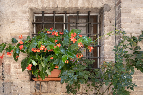 Fototapeta Naklejka Na Ścianę i Meble -  A basket of bright pink and red flowers hangs on the window of a home in an ancient building in Italy