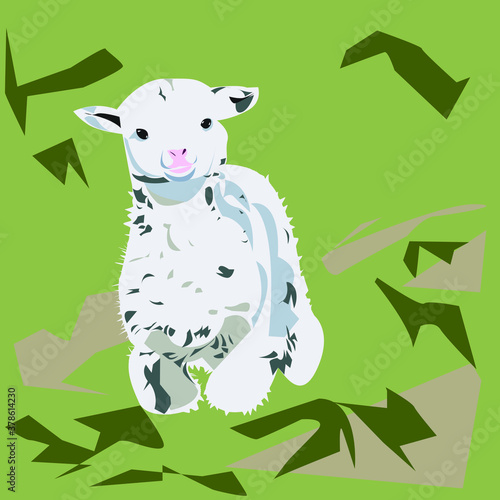 image of a small lamb on a green background