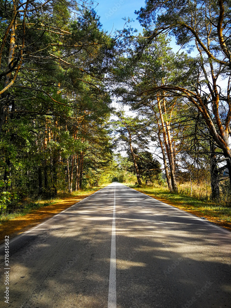 empty deserted asphalt road through the forest, contrasting shadows, sunny day, nature of Russia