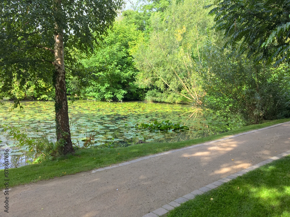 Parkanlage mit Fußweg, Bäumen, Rasen und einen Teich mit Seerosen