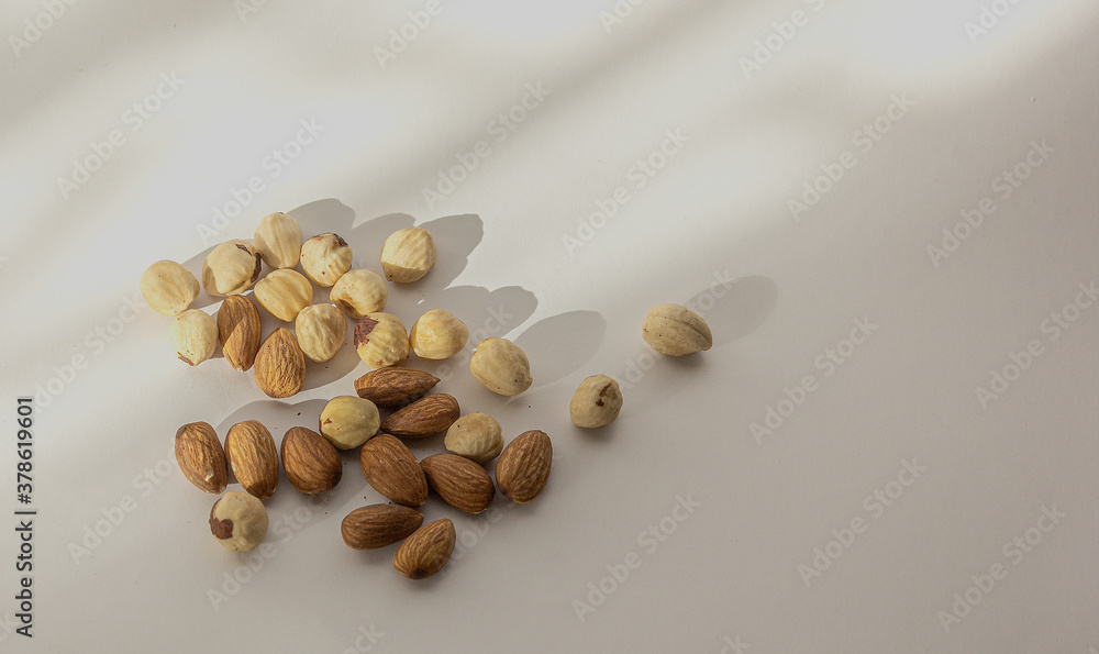 Different nuts on a white background, space for text Different nuts on a white background, space for text