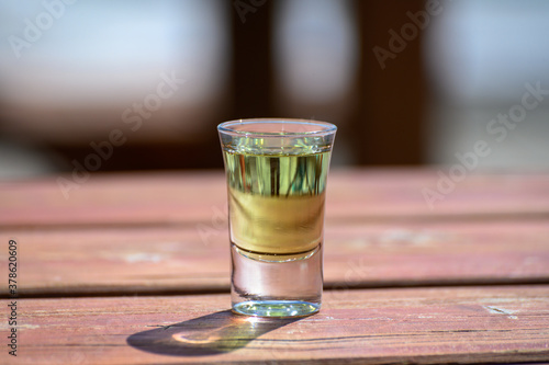 Tasting of very sweet french green strong liqueur based on many herbs, plants and flowers from Chartreuse abbey in Alpine mountains photo