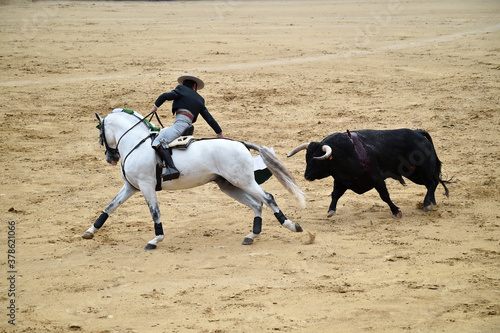 bullfighting with horse in a bullring in spain