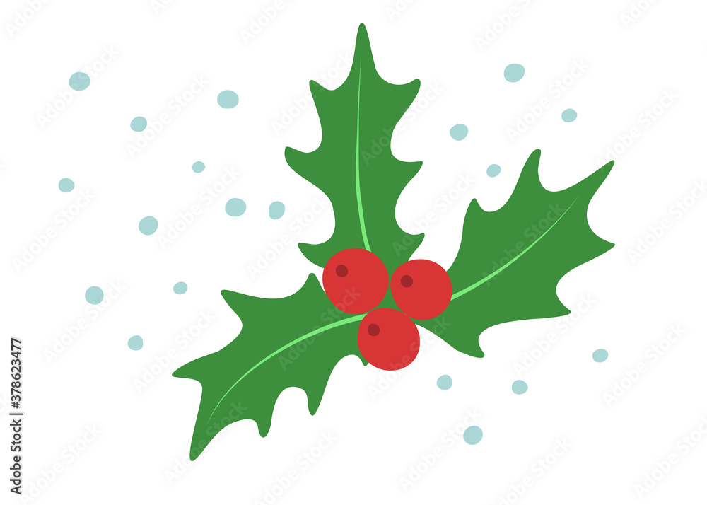 Vector hand drawn illustration of holly, leaves and berries. Christmas symbol. Element isolated on white background Vector hand drawn illustration of holly, leaves and berries. Christmas symbol. Element isolated on white background