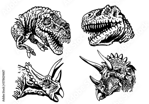 Vector set of dinosaurs' portraits isolated on white, tyrannosaurus and triceratops