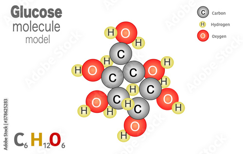 Glucose molecule model, molecule is formed from 6 carbon atoms, 12 hydrogen atoms and 6 oxygen atoms linked together. The molecular formula for glucose is C6H12O6. Sugar diagram, infographic. Vector