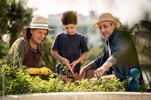 Jardinagem ensinado pelos avós