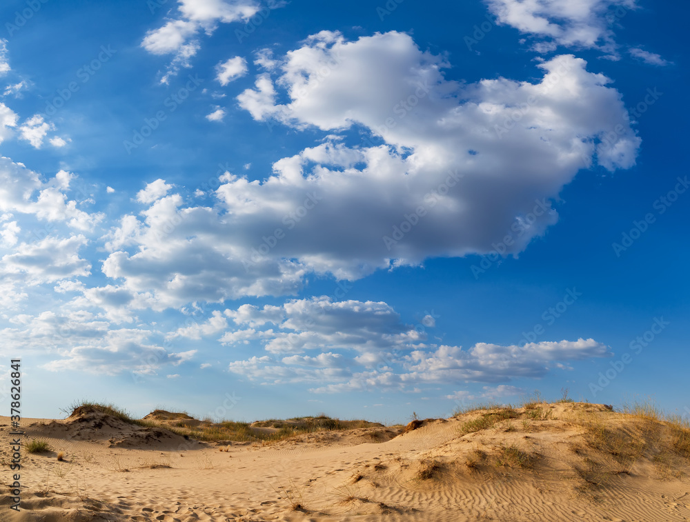 Fototapeta premium Beautiful desert landscape with dunes. Walk on a sunny day on the sands.