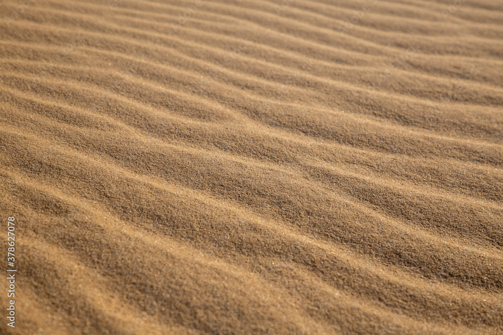 Beautiful desert landscape with dunes. Walk on a sunny day on the sands. Beautiful desert landscape with dunes. Walk on a sunny day on the sands.