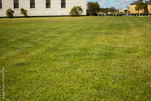 Fototapeta Naklejka Na Ścianę i Meble -  house in the park