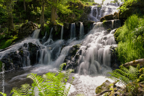 waterfall in the forest