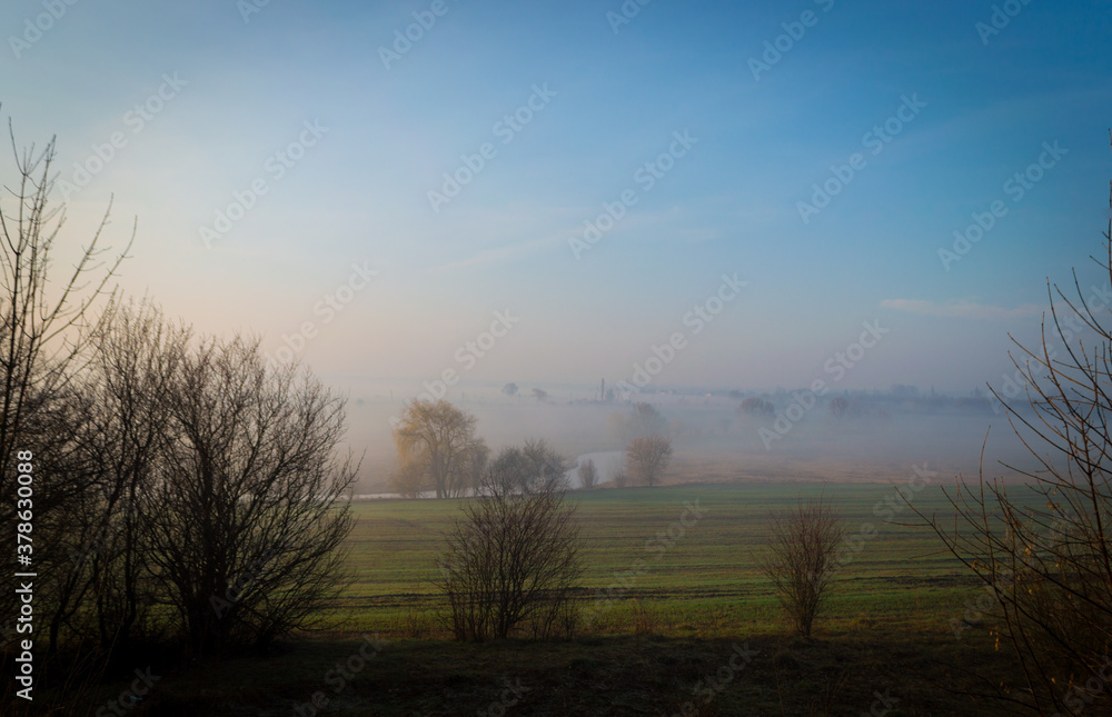 river under morning fog in the field. river in the field under fog and clear sky. foggy landscape river under morning fog in the field. river in the field under fog and clear sky. foggy landscape