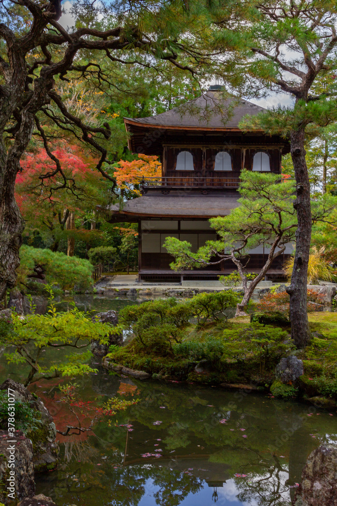 Temple surrounded of colored trees in Kyoto (Japan) Temple surrounded of colored trees in Kyoto (Japan)