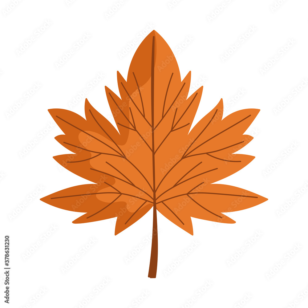 maple leaf foliage nature isolated icon white background