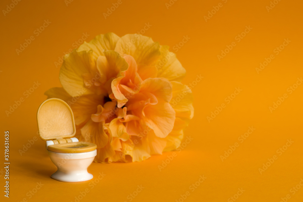 White toilet bowl on orange background with hibiscus flower to