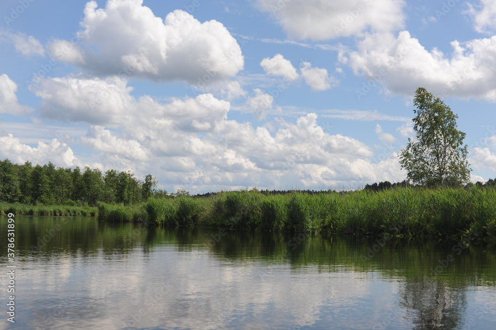 Obraz premium Canoeing in a kayak on Czarna Hancza virgin river in north-eastern Poland with blue sky, white clouds reflecting in water and green treas on a sunny summer day
