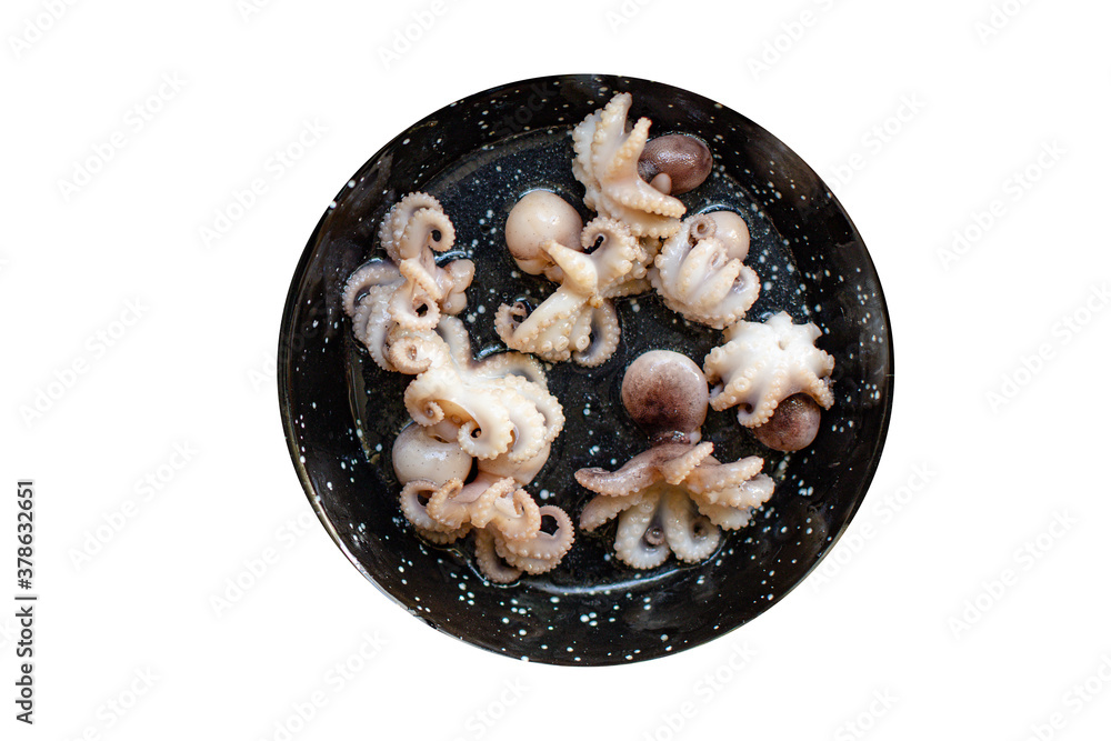 octopus raw seafood fresh baby size on the table serving size top view copy space for text diet pescetarian food background rustic octopus raw seafood fresh baby size on the table serving size top view copy space for text diet pescetarian food background rustic