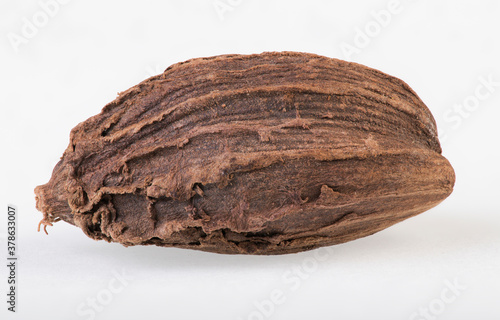 Close-up of single black cardamom seedpod on a white background