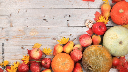 Autumn composition with seasonal leaves, pumpkins, apples on a pastel background, Minimal Happy Thanksgiving concept, postcard, selective focus., Flat lay, place for text photo