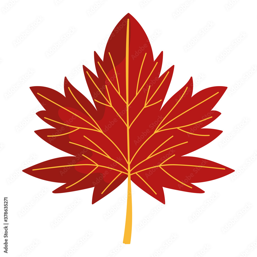 maple leaf foliage nature isolated icon over white background maple leaf foliage nature isolated icon over white background