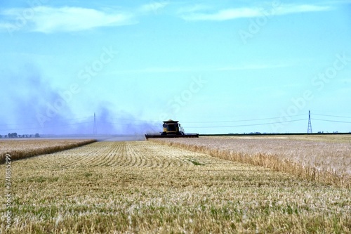 A combine is seen harvesting wheat in a Manitoba field © Murray