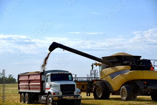 A combine is seen loading a grain truck in a wheat field